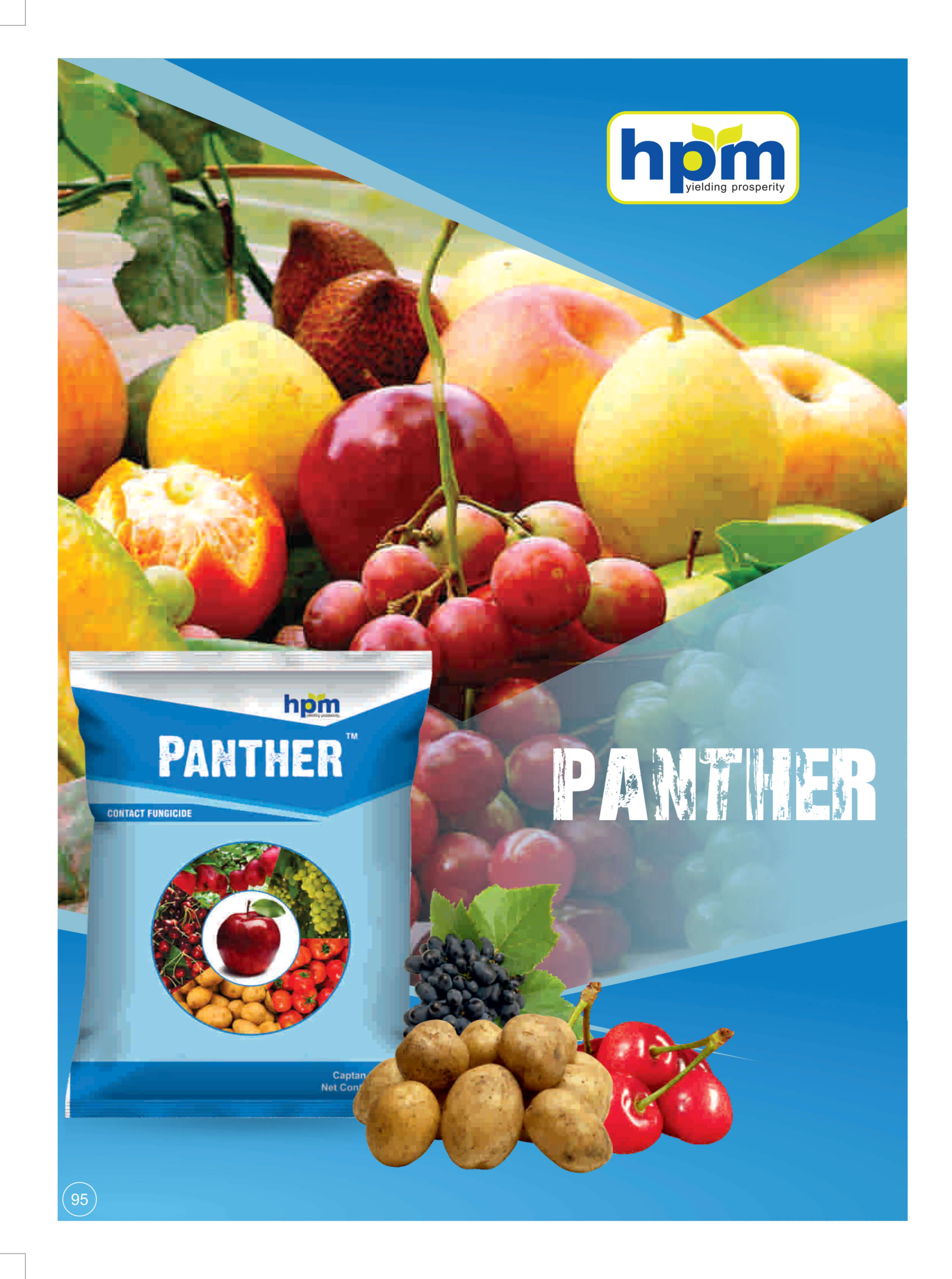 panther
